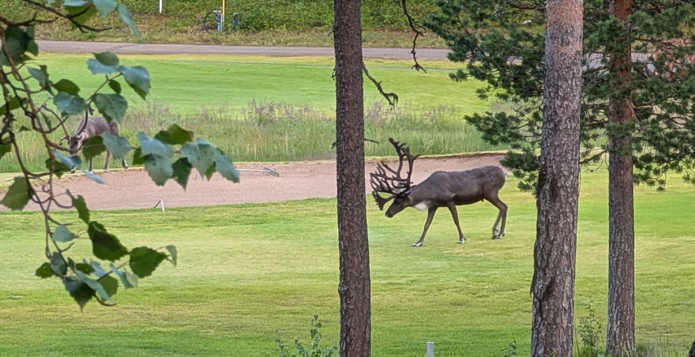 Näkymä Hiihtogreenistä golfkentälle